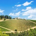 Terricciola Valdera E-Bike Tour + Wine Tasting, Photo Shoot - Exploring Medieval Villages: Morrona, Chianni, and Peccioli