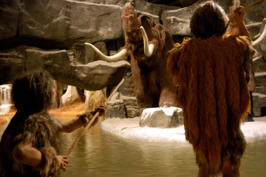 Teruel : Dinopólis Entry ticket - A Closer Look at the Location in Teruel