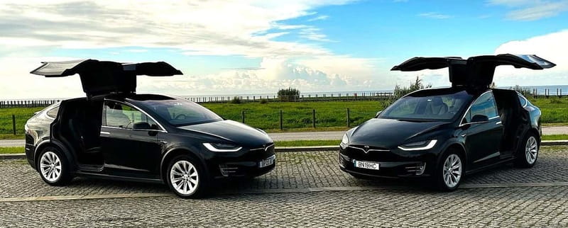 Tesla Premium Private Tours - Porto to Douro Valley - Luxury Transportation in a Tesla Model X