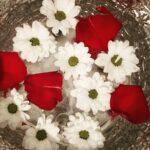 Thai traditional massage // Thai traditional massage - The Booking and Cancellation Policies