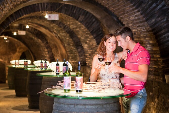 The Authentic Rioja Alavesa wine experiences - Exploring Bodega El Fabulista: A Traditional Cellar