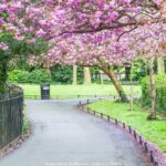 The Best of Dublin including Trinity College: Private Tour - The Tour Starts at Christ Church Cathedral in the Heart of Dublin