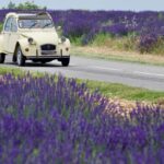 The best of Provence: 4-day tour - Key Points