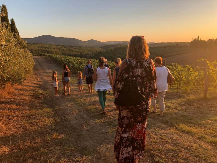 The Chimera d'Albegna: tour and wine tasting. - Tasting in the Cellar with a Selection of Nine Wines