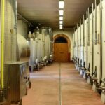 The Count's memories - AGED AND SUPERTUSCAN WINE TASTING IN TORRITA - Key Points