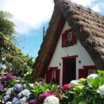 The East Tour Great Guide Great Tour. - Faial Viewpoint and the Laurissilva Forest