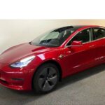 The Forgotten Giants Private Tour - The Logistics: Transportation and Group Size