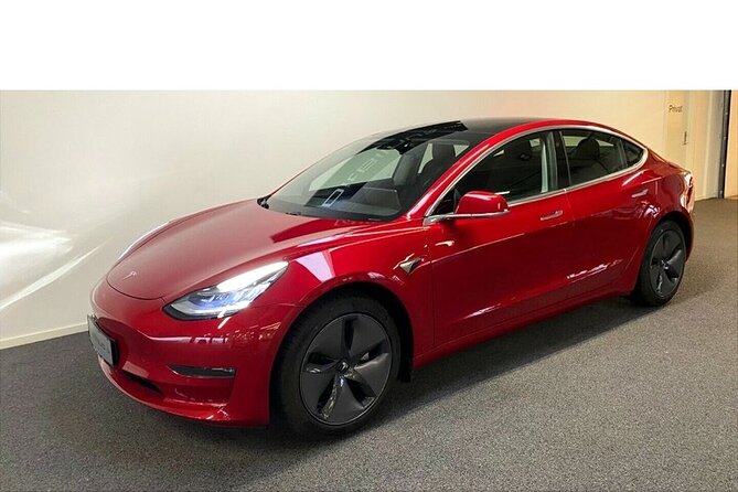 The Forgotten Giants Private Tour - The Logistics: Transportation and Group Size