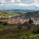 The Grape Escape: Troodos Mountains thru Wine Small Group Tour 6hrs - Wine Tasting: A Focus on Local Varieties and Commandaria