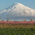 The Great Beauty of Armenia: 7-Day Culture and Cuisine Tour - Exploring Armenia’s Ancient Manuscripts at Matenadaran
