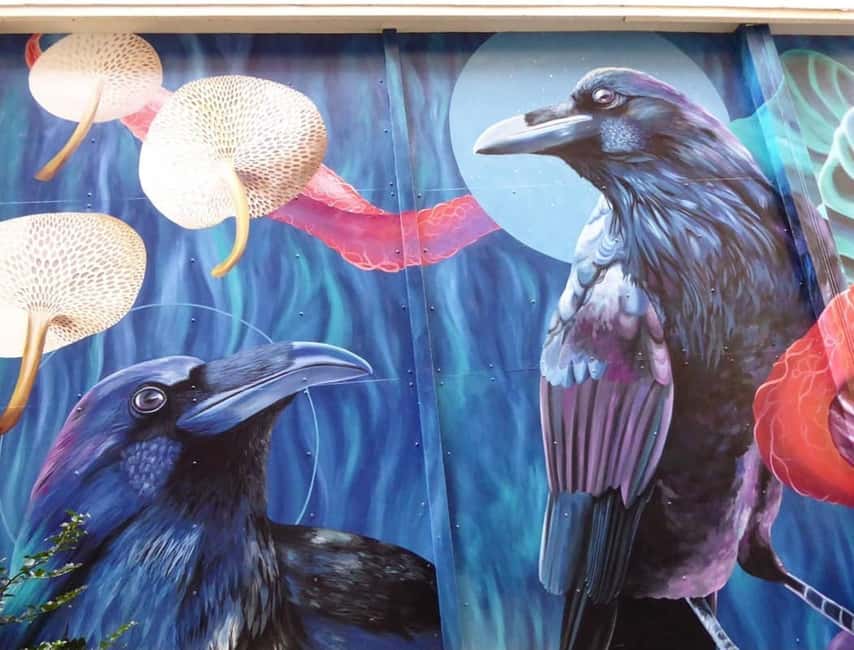 The Hague: a guided tour in French, mixing Street Art and History - Street Art as a Window into The Hague’s Past