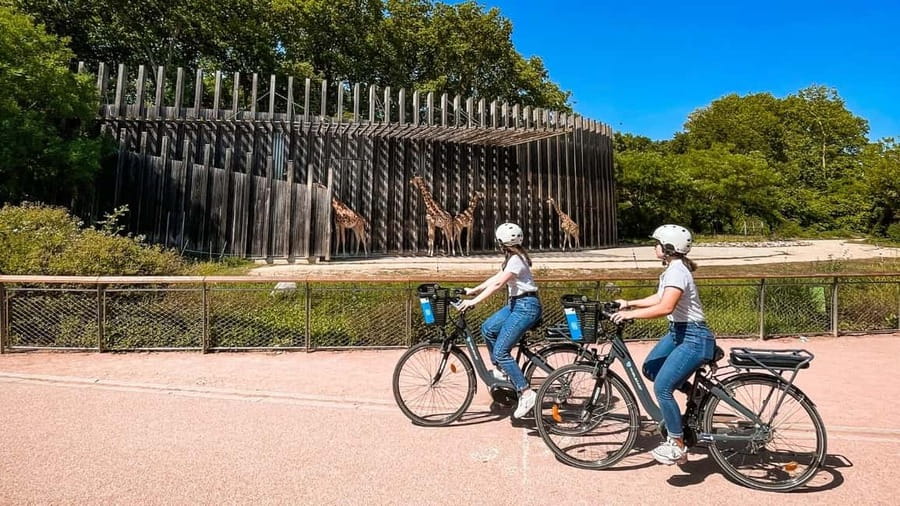 The highlights of Lyon with an electric bike - Riding the Iconic Vieux-Lyon and Quais de Saône