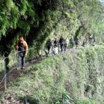 The King's Levada - Levada do Rei - Starting Point at Monumental Experience in Funchal