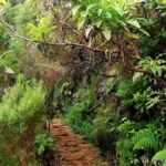 The Lakes Walk - Guided Walk with Knowledgeable and Friendly Guides