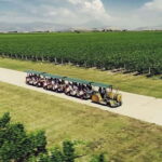 The largest winery in Montenegro: private tour & transport - Starting Point in Podgorica for a Seamless Pickup