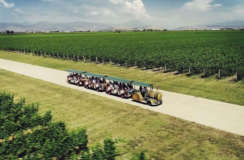 The largest winery in Montenegro: private tour & transport - Starting Point in Podgorica for a Seamless Pickup