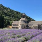 The Lavender tour from marseille or aix en provence - Pickup and Starting Point at Valensole