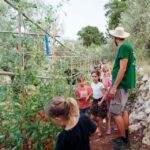 The Olive Oil Experience @ Lefkada Micro Farm - The Guided Tour of Lefkada Micro Farm