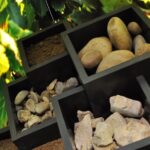 The prestige course at Maison Brotte - The Maison Brotte Location in Avignon