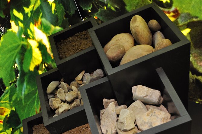 The prestige course at Maison Brotte - The Maison Brotte Location in Avignon