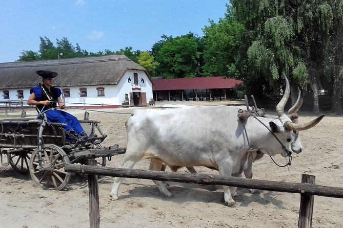 The "Puszta" Horse Show - Lajosmizse: The Heart of the Horse Show and Hungarian Farm Life