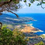 The Real Cyprus: Private Mini Bus Tour With Local Guide - Explore a Variety of Themed Tour Options for Diverse Interests