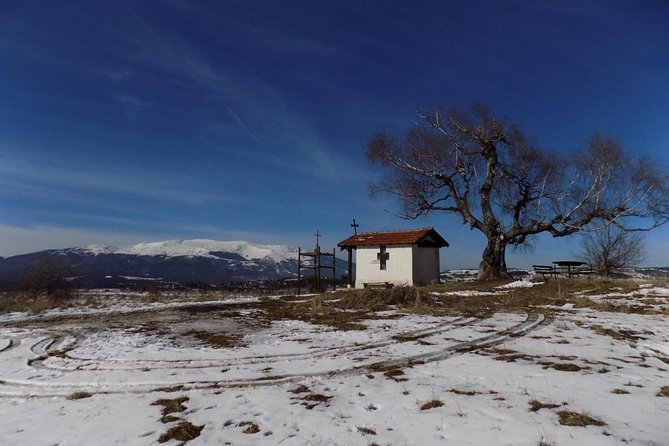 The religion in and around Sofia - Exploring the Sofia Synagogue: Europe’s Third Largest