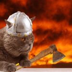 The Reykjavik Cat Walking Tour - Admiring Lake Tjörn in Reykjavík