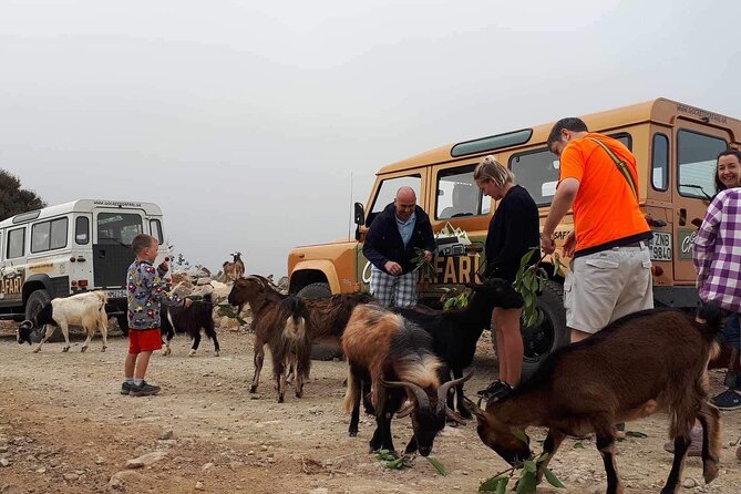 The Roads Of Wine Olive Oil And Cretan Tradition in Malia - Practical Aspects and Comfort