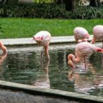 The Secret Milan  An Exclusive Stroll Beyond the Beaten Path - Exploring the Glamorous Quadrilatero della Moda