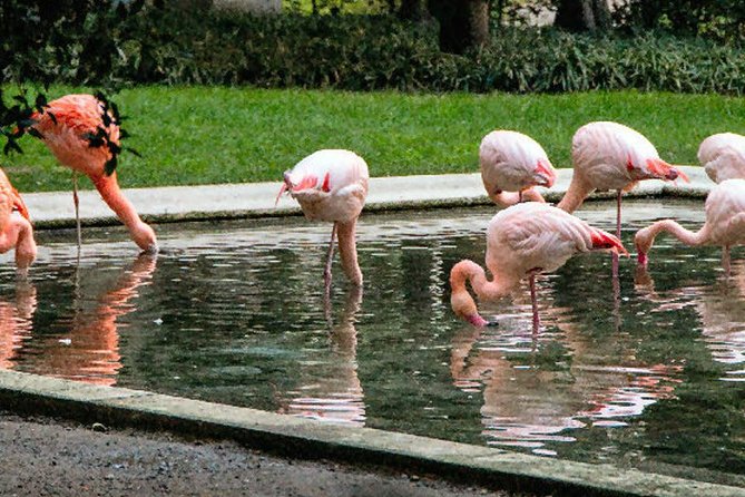 The Secret Milan An Exclusive Stroll Beyond the Beaten Path - Exploring the Glamorous Quadrilatero della Moda