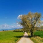 The spell of Lake Trasimeno Trekking Tour - Discovering Lake Trasimeno’s Natural Surroundings