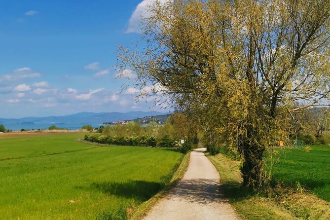 The spell of Lake Trasimeno - Trekking Tour - Scenic Trekking through Olive Groves and Dirt Paths