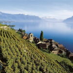 The Swiss Riviera Experience  Exclusive Private Tour - Visiting Lausanne and the Olympic Museum Photo Stop