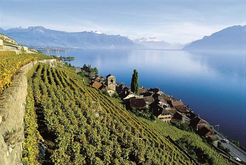 The Swiss Riviera Experience  Exclusive Private Tour - Visiting Lausanne and the Olympic Museum Photo Stop