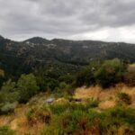 The Theriso Gorge and Village E-Bike Adventure - Visiting Theriso: A Village Rich in History and Cretan Hospitality