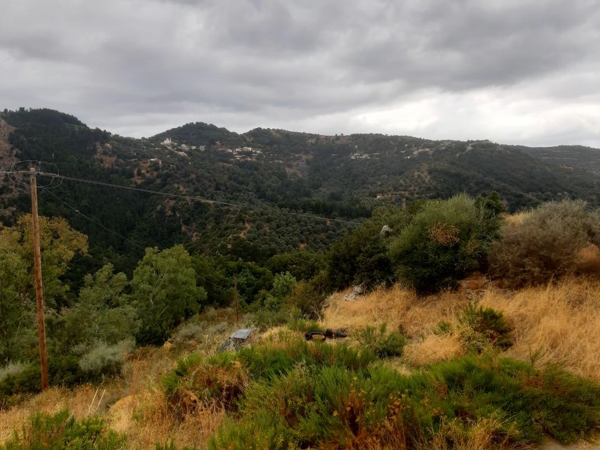 The Theriso Gorge and Village E-Bike Adventure - Visiting Theriso: A Village Rich in History and Cretan Hospitality