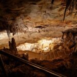 The Ultimate Bellver Castle Private Day Trip - Royal Gardens at Marivent: A Gothic Oasis