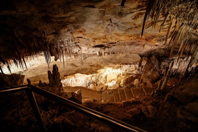 The Ultimate Bellver Castle Private Day Trip - Royal Gardens at Marivent: A Gothic Oasis