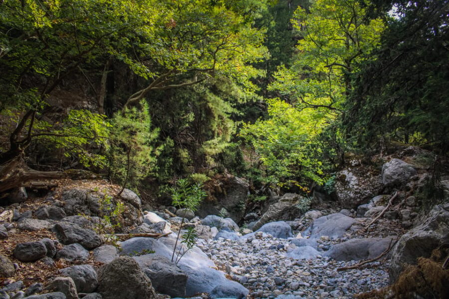 The Unique Tour of Samaria Gorge - Key Points