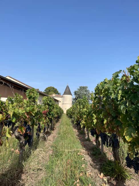 The vertical at Château Cruzeau - Exploring the Château and the Vineyard