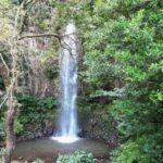 The Whisper Of The East, Santana & Pico do Arieiro Jeep Tour - The Daring Heights of Miradouro do Guindaste and Glass Walkways