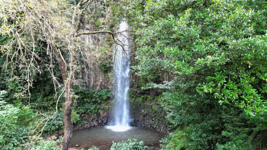 The Whisper Of The East, Santana & Pico do Arieiro Jeep Tour - The Daring Heights of Miradouro do Guindaste and Glass Walkways