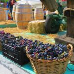 The wine route by bike - Visiting Bellu Manor: A Peek into Old Romanian Life