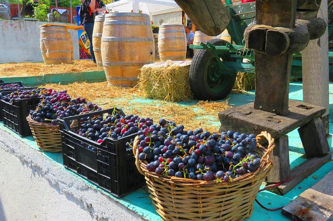 The wine route by bike - Visiting Bellu Manor: A Peek into Old Romanian Life