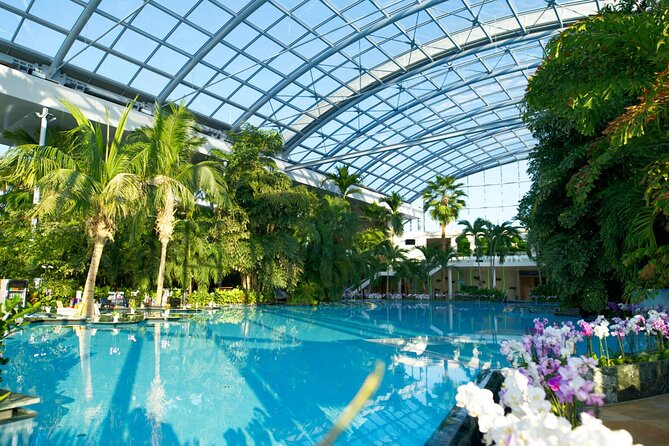 Therme-entrance ticket and transfer pick-up/drop-off Bucharest - Exploring the Palm Area: Pools, Saunas, and Sunbathing Zones