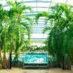 Therme Spa Ultimate Experience | Transfer - Full Access All Areas - Exploring the Galaxy, Palm, and Elysium Zones