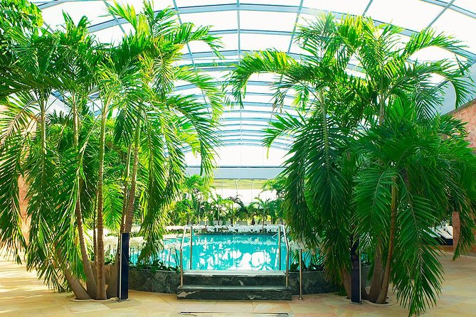 Therme Spa Ultimate Experience | Transfer - Full Access All Areas - Exploring the Galaxy, Palm, and Elysium Zones