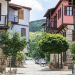 Thessaloniki: Halkidiki, Arnaia, Ierissos  Swim & Tasting - Honey Tasting and Beekeeping Insights in Arnaia