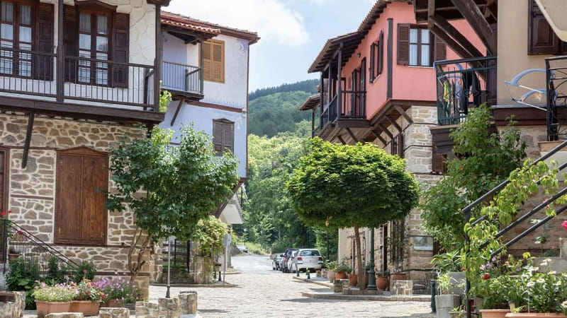 Thessaloniki: Halkidiki, Arnaia, Ierissos  Swim & Tasting - Honey Tasting and Beekeeping Insights in Arnaia